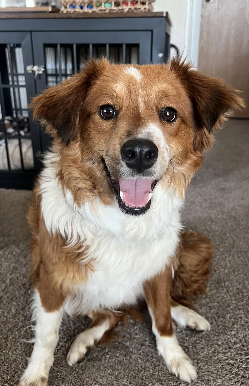 Maple Cinnamon