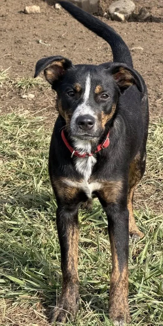 Four Siblings ~ Caden