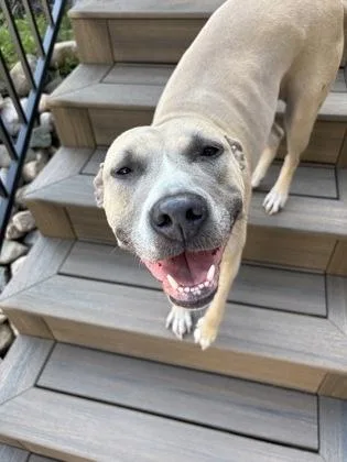 Kiki