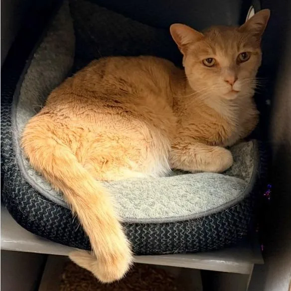 Channing thumbnail 2