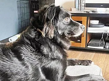 Lovely Luna thumbnail 3