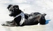 Lovely Luna thumbnail 4