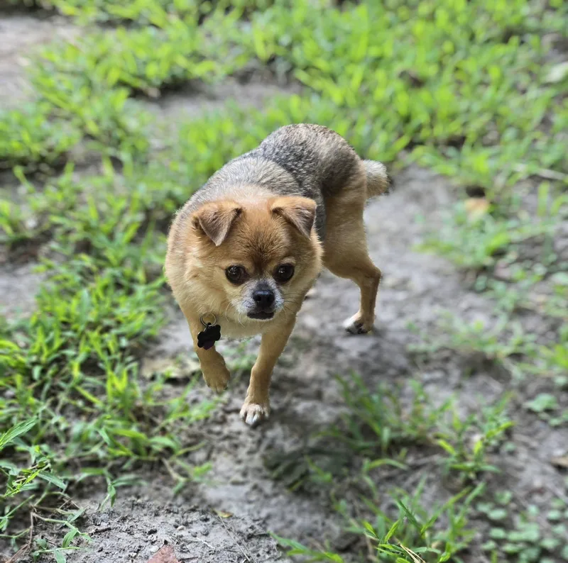 Murphy
