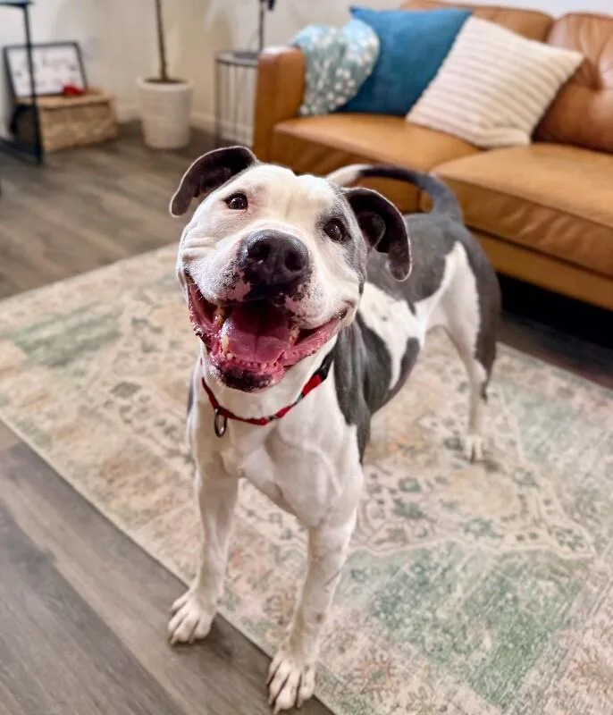 Georgie Smiles With The thumbnail 2