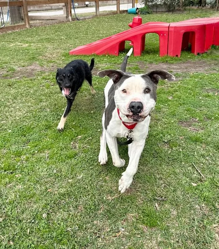 Georgie Smiles With The thumbnail 3