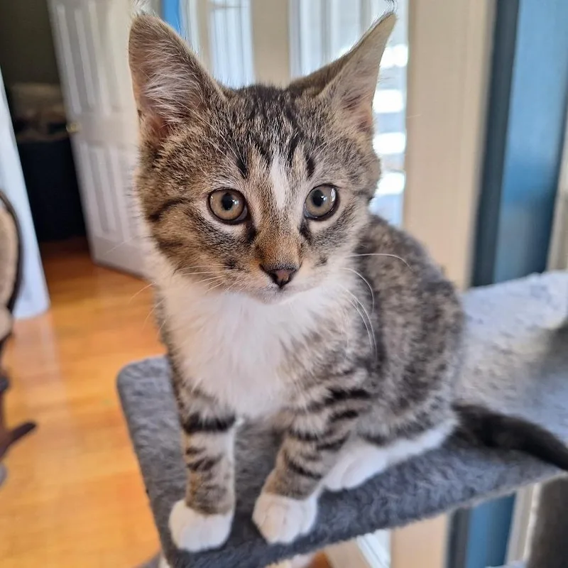 Capt. Kirk thumbnail 2