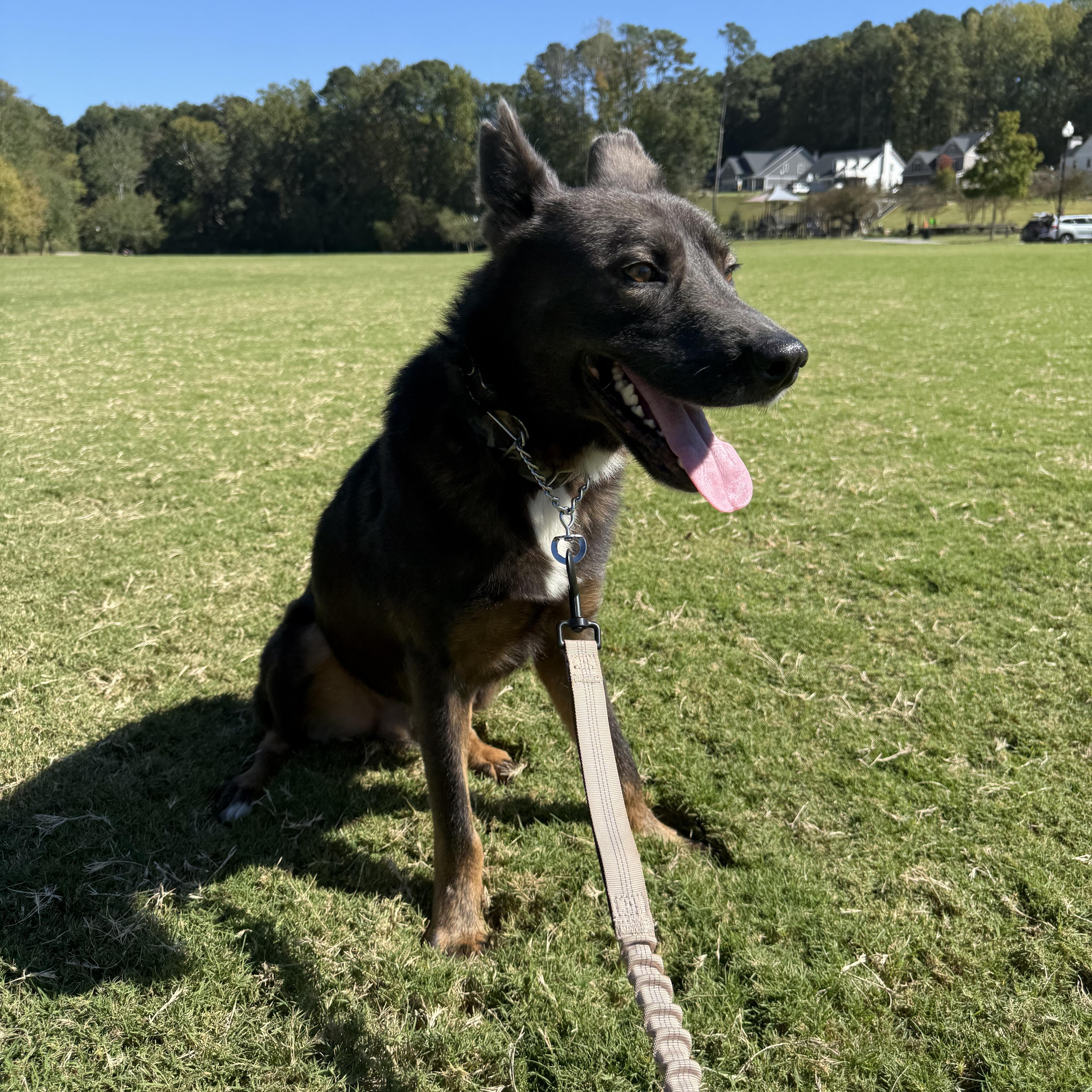 Handsome thumbnail 2