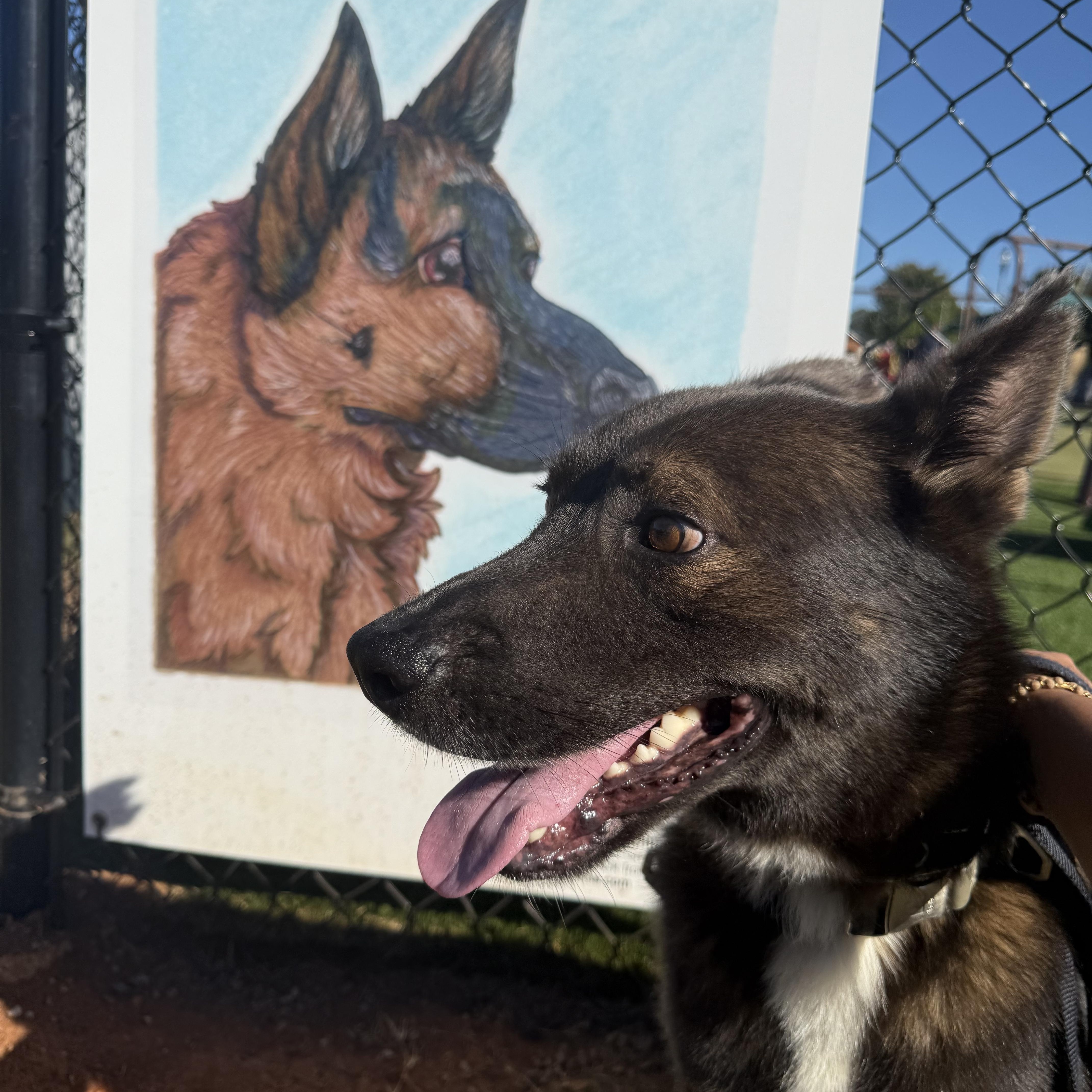 Handsome thumbnail 3