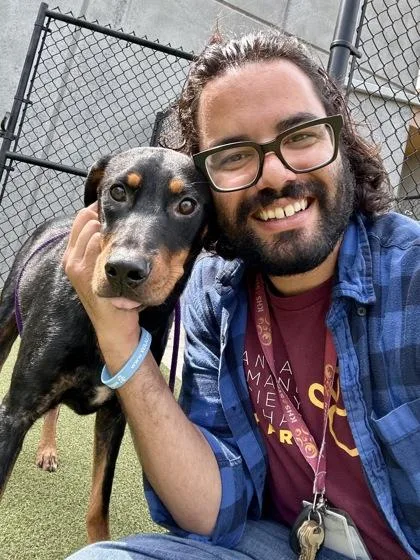 An adult large-sized female Black Mixed Breed dog named Aurora for adoption in Wichita, KS