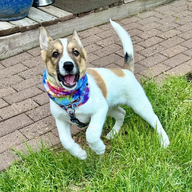 Waylon