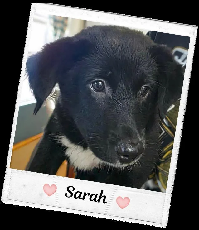 Sarah