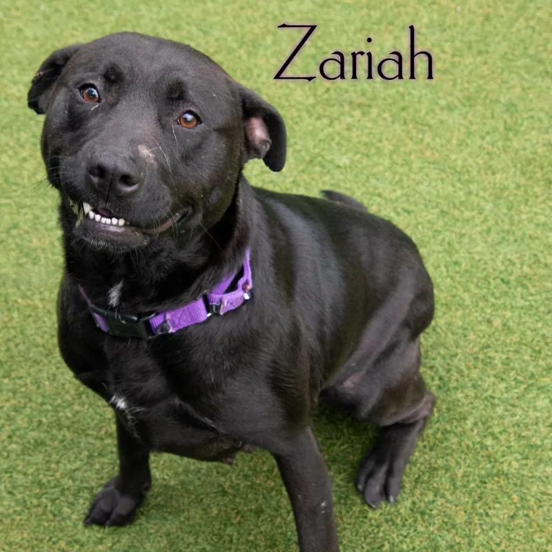 Zariah thumbnail 2
