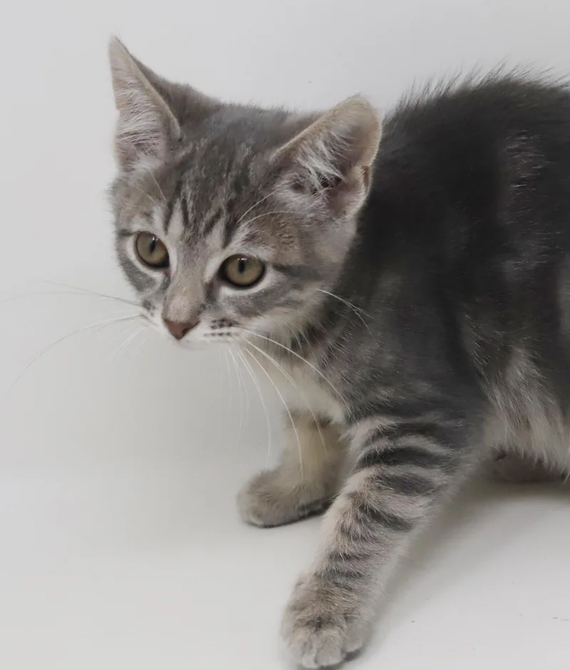 Booboo Is Our Bouncy thumbnail 2