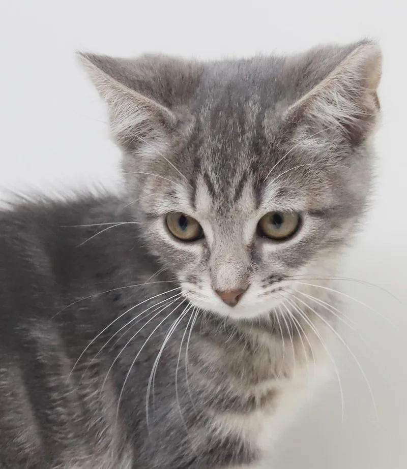 Booboo Is Our Bouncy thumbnail 3