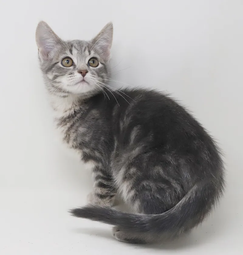 Booboo Is Our Bouncy thumbnail 5