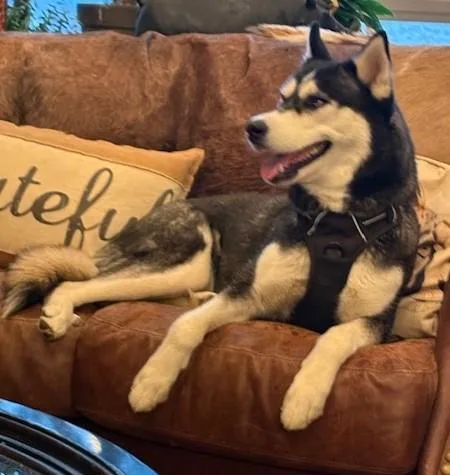 Luna Lee thumbnail 2