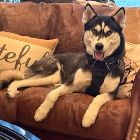 Luna Lee thumbnail 3