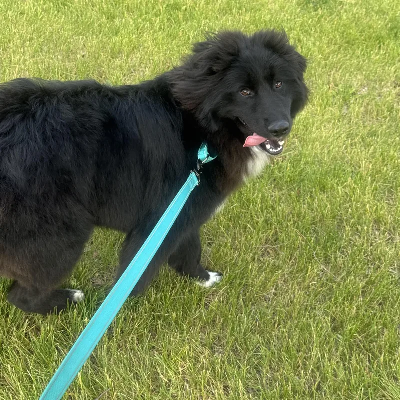Murphy
