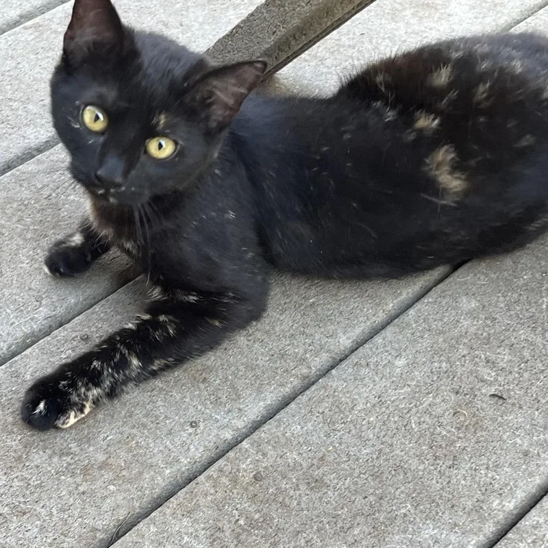 Maureen O'hara thumbnail 2