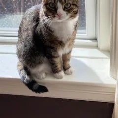 Penny And Lena thumbnail 2