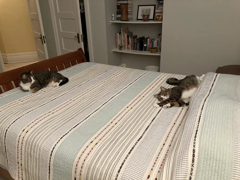 Penny And Lena thumbnail 3