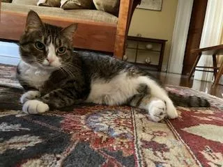 Penny And Lena thumbnail 4