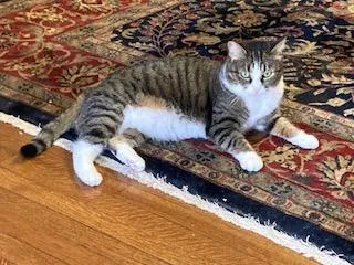 Penny And Lena thumbnail 5