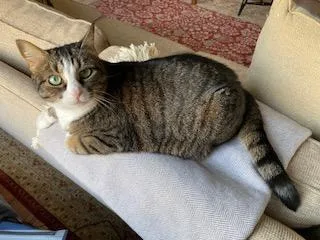 Penny And Lena thumbnail 6