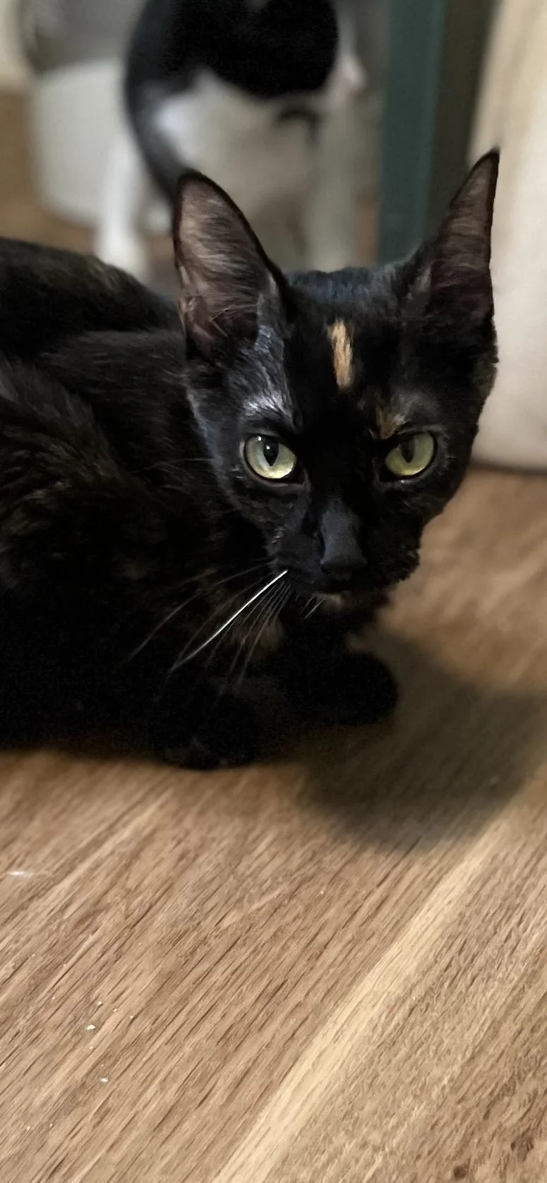 Betty thumbnail 3