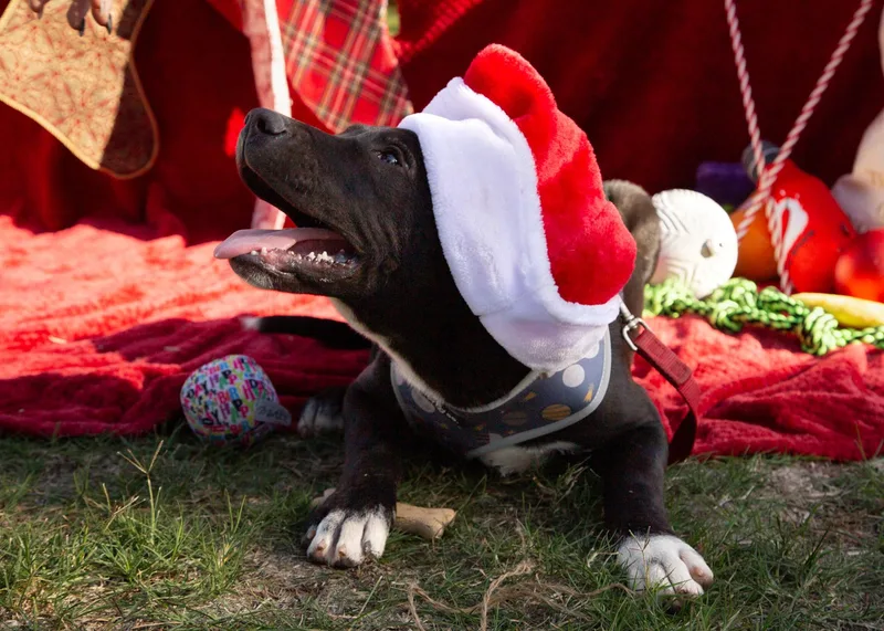 Bruce Wayne thumbnail 2