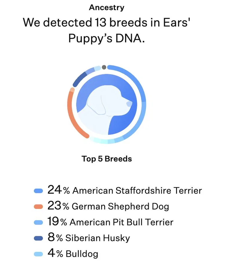 Bruce Wayne thumbnail 4