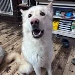 Zz  Classified Ad thumbnail 2