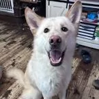 Zz  Classified Ad thumbnail 3