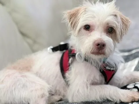 Freddie thumbnail 3