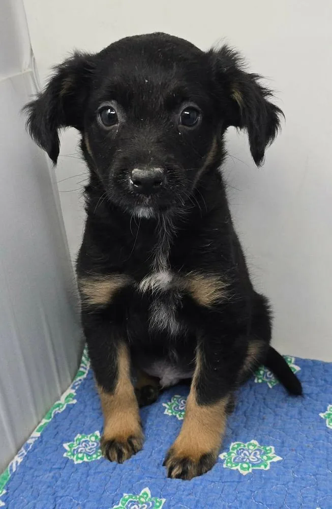 Ashland