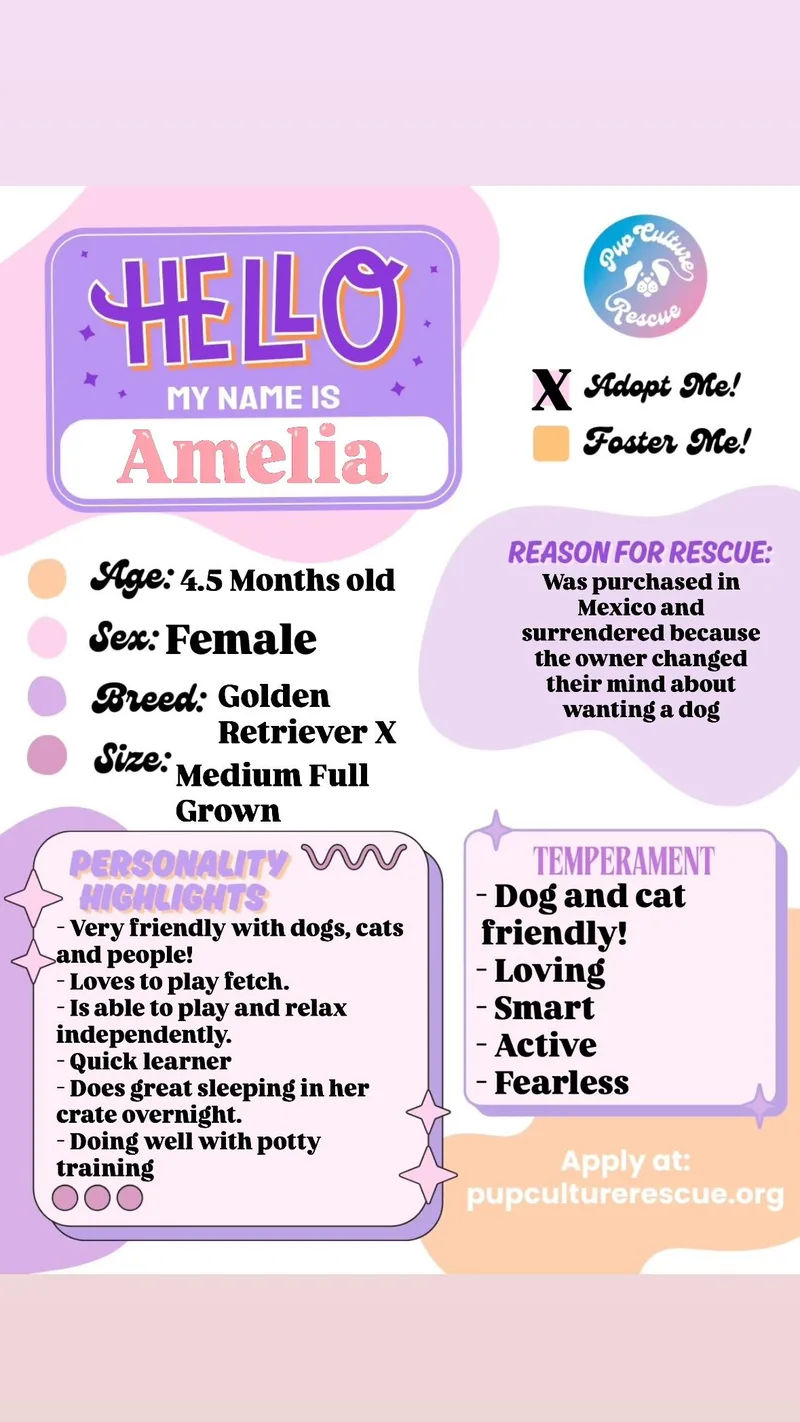 Amelia thumbnail 4