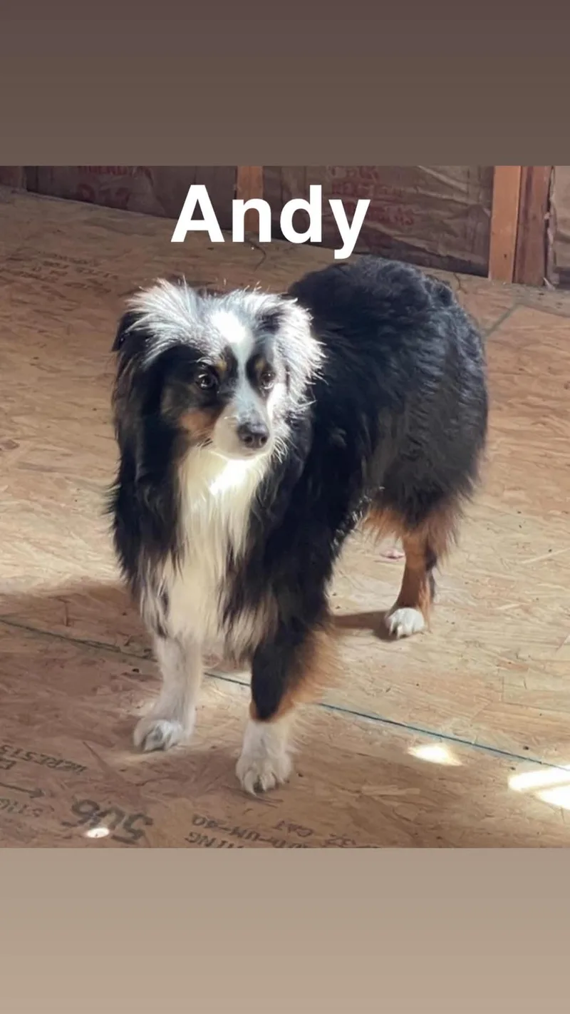 Andy and Ellie  thumbnail 5