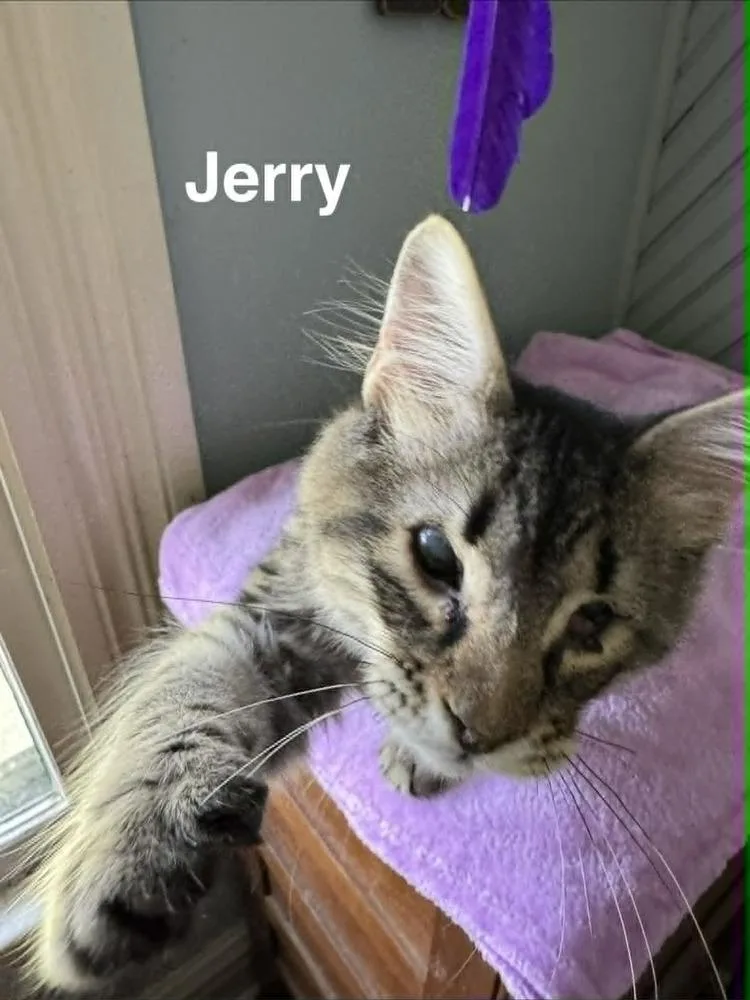 Jerry