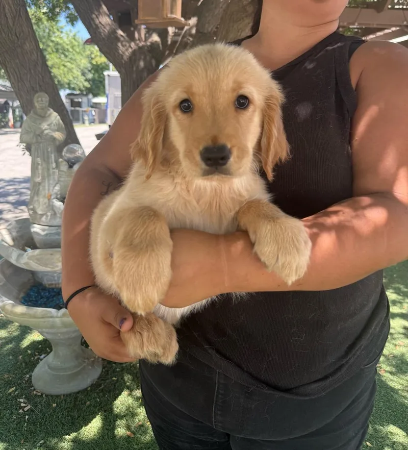 Oliver