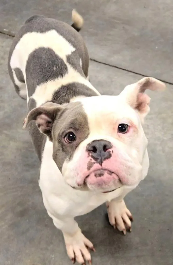Lexi thumbnail 4