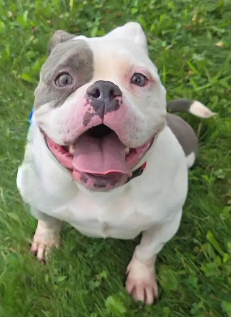 Lexi thumbnail 5