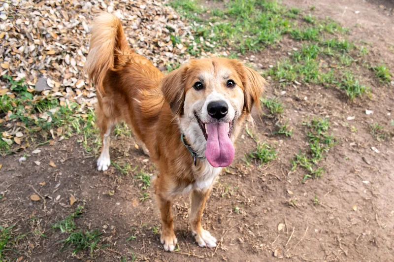 Danny  Co thumbnail 2