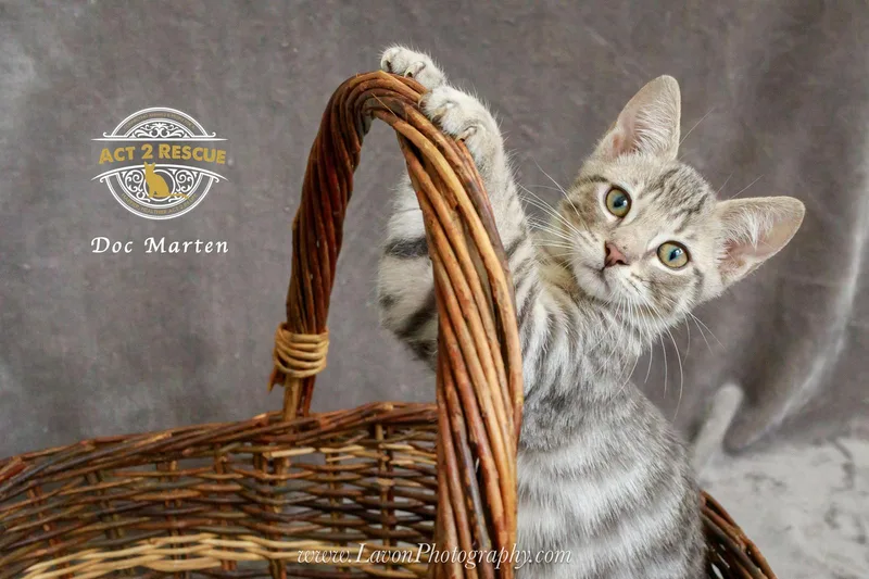 Doc Marten thumbnail 3