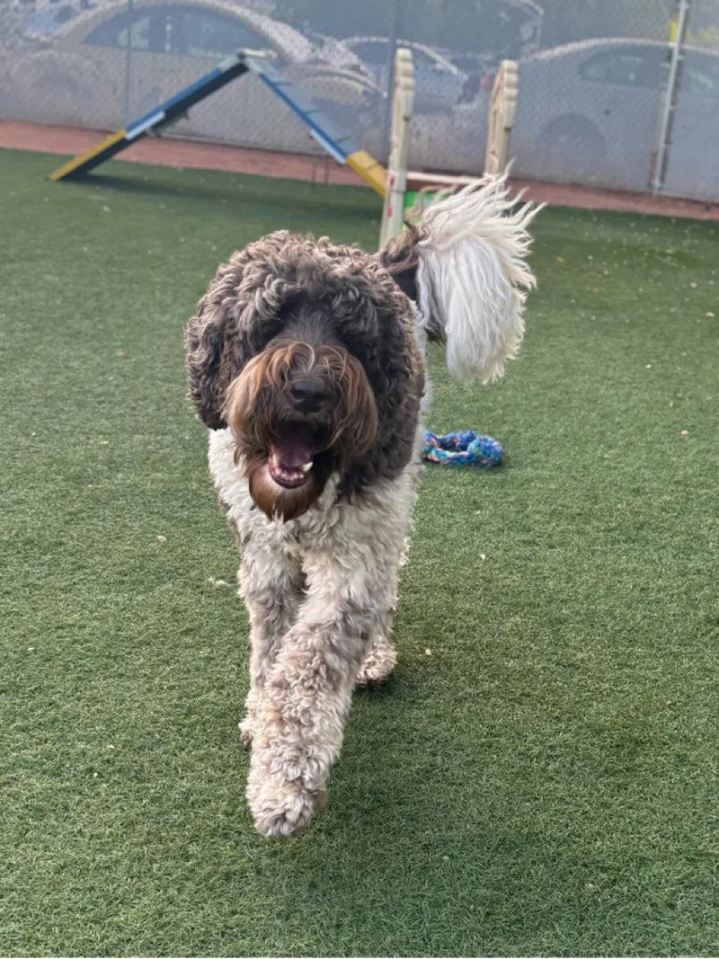 Ozwald Walter thumbnail 2