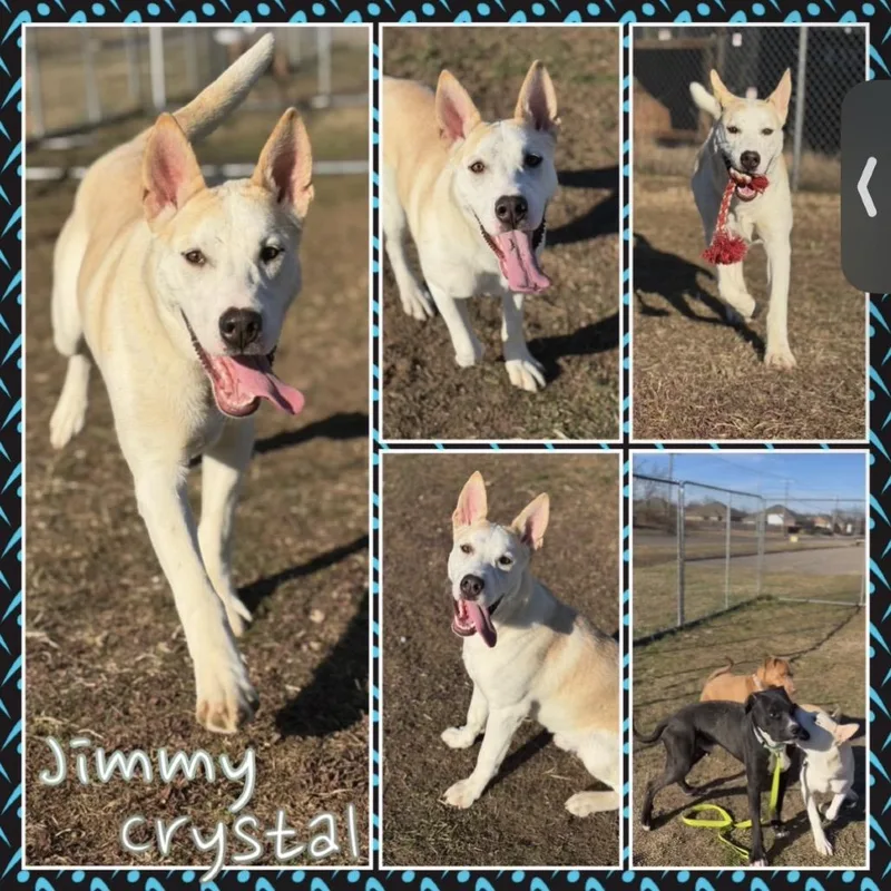 Jimmy Crystal
