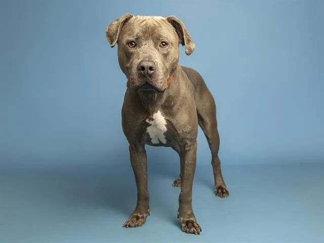 Duncan