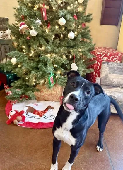 Watermelon thumbnail 3