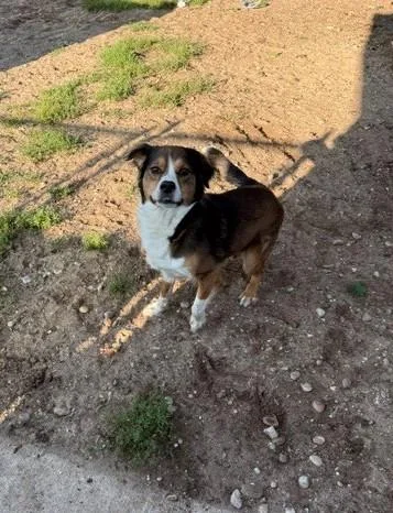 Cooper