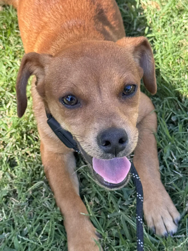 Sam