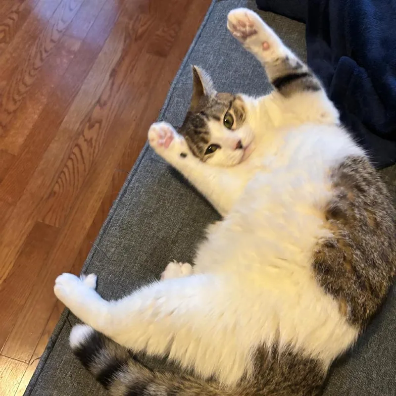 Sandy Cheeks thumbnail 2